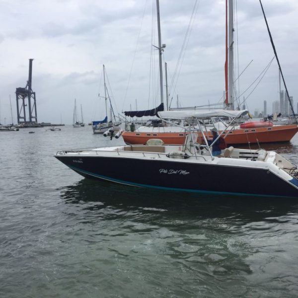 Tour Bahía Rumbera por hora para 12 personas en Cartagena de Indias